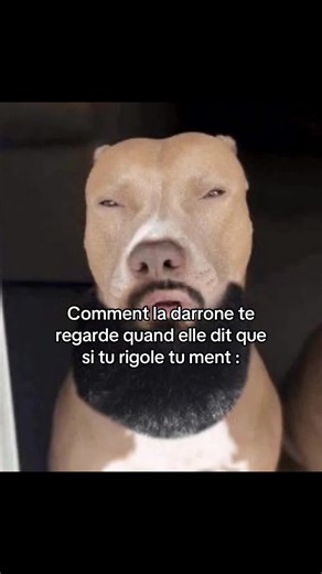 #humour | Funny Humour Videos