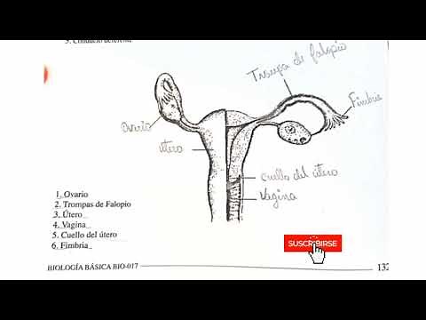 (BIO-017 UASD) UNIDAD 3 LLENA | manual de biologia basica