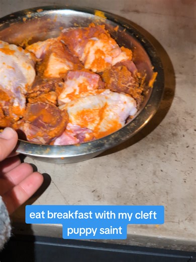 Raw Food Diet for Puppies: Healthy Feeding Tips