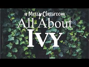 All About Ivy | From Castles to Cottages Ivy’s Hidden World | Educational Plant Garden Botany Video