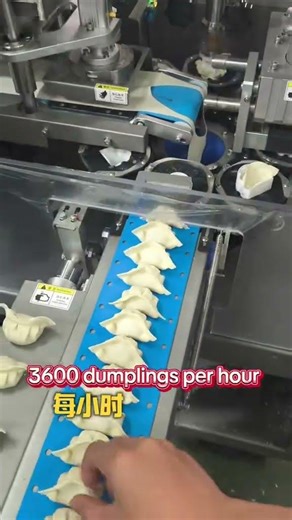 fully automatic dumpling machine whole servo motors drives various parts #dumplingmachine #soontrue