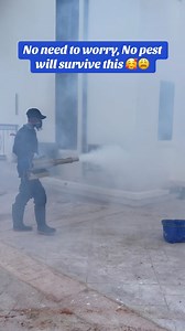 Best choice in BENIN CITY to handle your pest control job #benincitycleaners #cleaningservice #xilvycleaners #cleaningserviceinbenin #professionalcleaningservices | Xilvy Cleaners