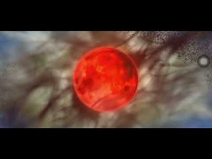 #FGO 第2部終章VSマリス・カルデアス 宝具「虚空には神ありき アニマ・アムニスフィア」