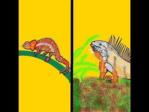Chameleon Vs Iguana - Kidz Learn Applications™