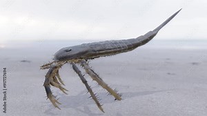 An animation of prehistoric Eurypterid Kokomopterus (Sea Scorpion) walking on a Silurian Period tidal flat 418 million years ago. Eurypterids are extinct arthropod ancestors of spiders and scorpions