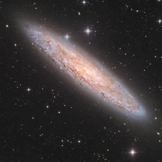 NGC 253 - SCULPTOR GALAXY También conocida como la Galaxia Moneda de Plata, NGC 253 es una de las galaxias espirales más brillantes del cielo, situada a unos 11 millones de volteretas de distancia en la constelación Sculptor. Clasificada como una galaxia estelar, atraviesa un período de intensa formación estelar, produciendo nuevas estrellas a un ritmo mucho mayor que el de la mayoría de las galaxias. Las franjas de polvo atraviesan su disco, ocultando cúmulos de estrellas jóvenes, mientras que 