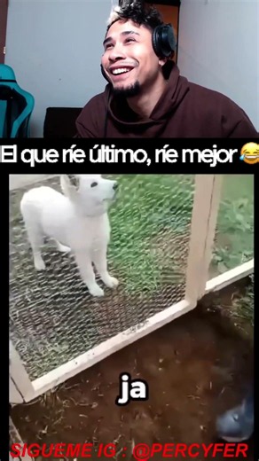 🇲🇽CUANDO TU PERRITO ES MÁS LISTO QUE TÚ🤣🐶🐶