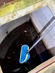 130K views · 762 reactions | #BassFishingProductions #Florida #PoolPond #Fish #Fishing #omg #skills #fyp #foryou #trends #trending | EWaste UsA Fishings | Facebook