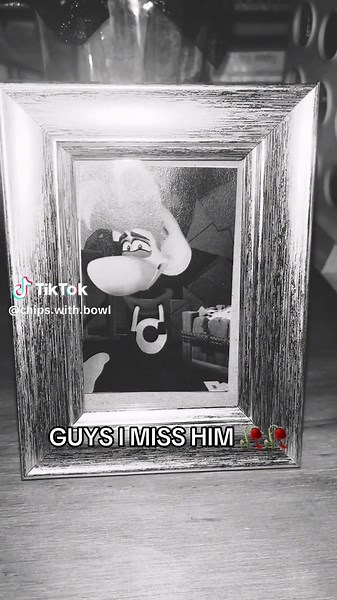 Remembering Captain Laserhawk: A Tribute to Rayman