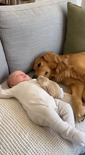 So cute! baby's best friend | Chrisvale