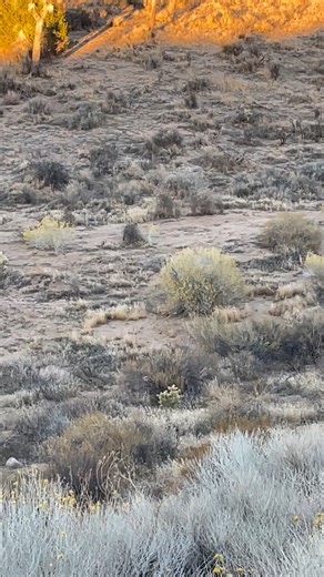 Joseph Tarango on Reels