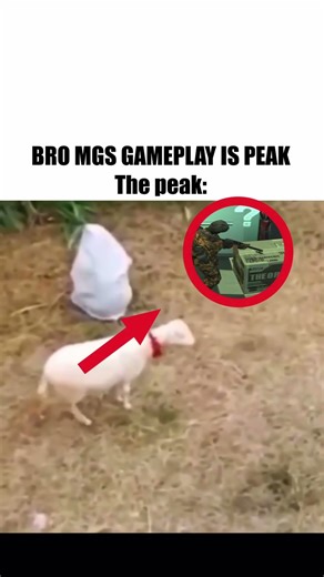 Bro mgs gameplay is peak