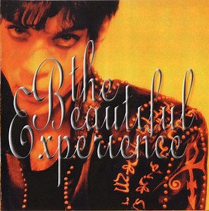 The Artist (Formerly Known As Prince) - The Beautiful Experience