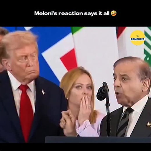 28K views · 963 reactions | 藍藍藍藍 | The Pamphlet | Facebook