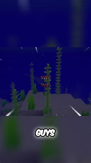 Scary Whale Encounter Bite or Get Bitten!