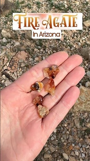 🔥🪨 The desert is hot, but did you know, we have FIRE agates? #rockhounding #fireagate #rocks