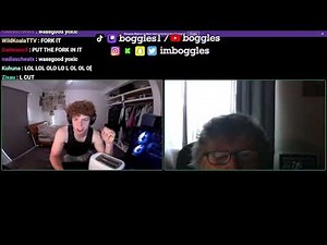 Streamer Puts Fork In Toaster in a Discord Call With Grandma