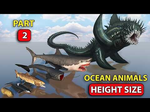 Biggest Sea Animal Size Comparison | 3D Sea Animal Comparison | Realistic Top Data
