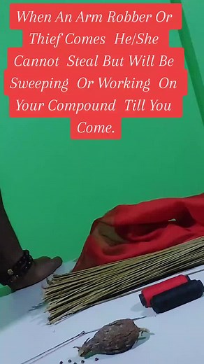 Let Any Arm Robber Or Theif That Try To Steal From Your House Sweep And Work On Your Compound Till You Arrest Him Or Her#powertostoparmrobbers#stopthiefs#fyp#foryourpage#4uu#nufuteneherbal#powerofnature#spiritual#direction