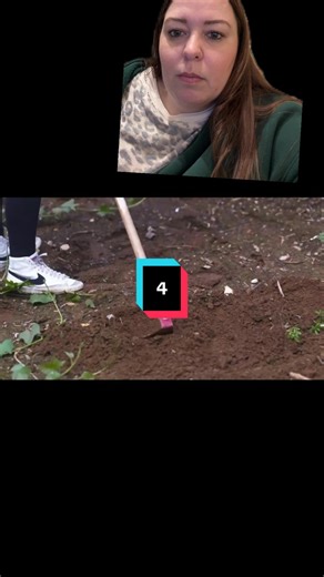 Gardening Adventures and Amish Humor in Suddenly Amish