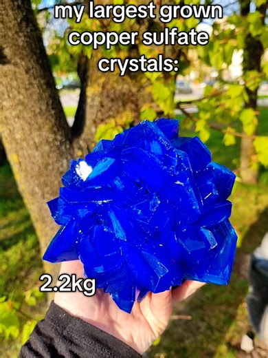 #makecrystal #chalcanthite #coppersulfate #growcrystal #howtogrowcrystals