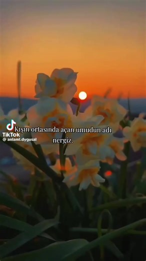 turnam.2147 (@turnam.2147)’s videos with orijinal ses - turnam.2147