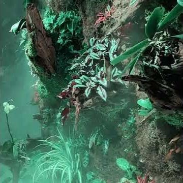 I built a terrarium inside a shower box