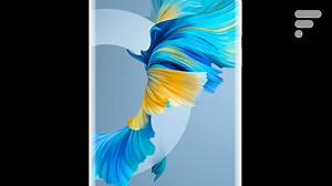 Huawei Mate 40 Pro : meilleur prix, fiche technique et actualité — Smartphones — Frandroid