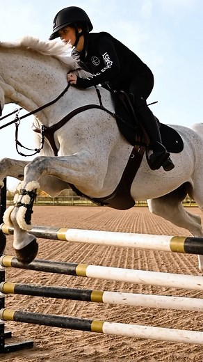 Our Jumping Collection is Really Something Extra. Highest leather quality, outstanding workmanship and designs that makes a DIFFERENCE! Check it out at theequemist.com | THE EQUEMIST