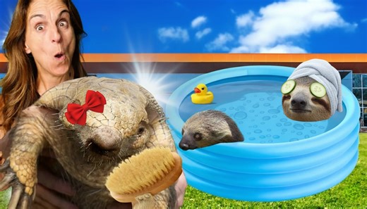 Aquarium spa day for mammals and reptiles - the care routine viewers don’t see