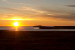 Watch Meta Online | Vimeo On Demand