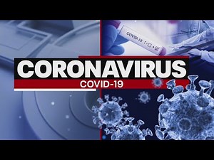 Austin Mayor Steve Adler interview about local cases of coronavirus