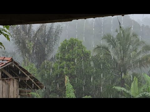 Super Heavy Rain Sounds 😴 Fall Asleep in Minutes