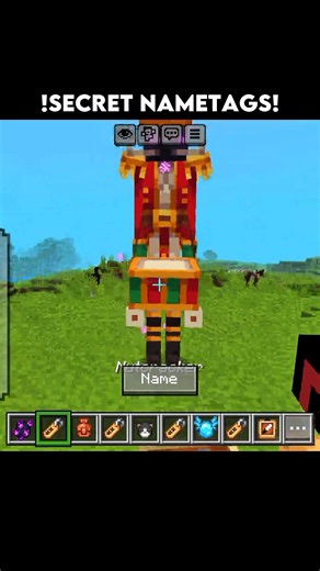 Minecraft New Secret NAMETAGS! Part - 19 [ actions and stuff ] #shorts #bestedit