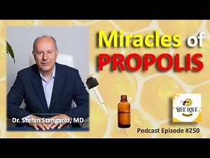 Propolis' Healing Properties, Honey, Pollen, Bee Venom, Royal Jelly, Beehive Air. APITHERAPY A-Z.