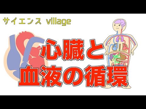 Second-year junior high school science class: "The heart and blood circulation" [lesson video by ...