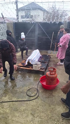 Videoclipuri postate de Cristina.dobre1978 (@cristina.dobre1978) cu sunet original - Moxulorena