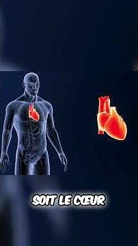 ECMO: How does it work? 🫀