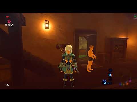 Zelda Botw Local Multiplayer Dual Fullscreen Online for everyone