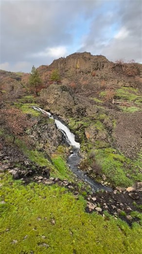 As you travel toward the eastern Columbia River Gorge, you will begin to see an impressive change in the landscape. The East Gorge is in the rain shadow of the Cascades where annual rainfall is just 14 inches. You will notice the dramatic change in scenery as it shifts from temperate rainforests to dry grasslands. #columbiarivergorge #pacificnorthwest #getoutside #beautifuldestinations #oregonisbeautiful #experiencewa #easterngorge #coyotewall #labyrinthfalls #synclinetrail #hikethegorge #winter