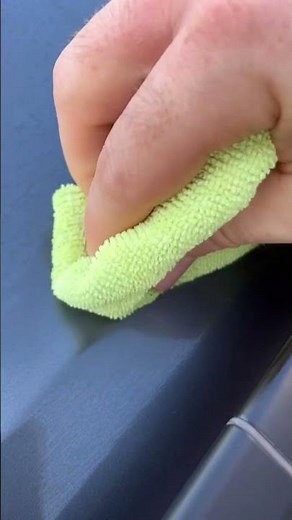 Pro Guide | Remove Tree Sap Safely From Car Paint