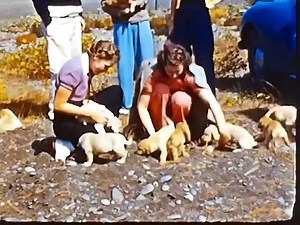 We love seeing the history of PASC. Thank you so much, @Kristie Leary, for sending us this great video of your grandparents, Michael Leary and Gloria (Myers) Leary, and your great-aunt, Patricia McGilvray. This was filmed in 1939/1940 and shows one of the early PASC Salmon Derbys. Kristy says, "And yes, it’s odd, but the film was originally in color (I didn’t edit it). It was rare for folks to have color film/processing back then, but I also have their wedding from Port Angeles on film from 1940