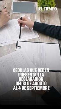 2026 Income Tax Return: These Tax IDs Have Deadlines This Week and the Fine Is $524,000 | EL TIEMPO