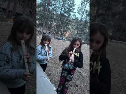 Playing Shake it off on the recorder by Taylor Swift ￼