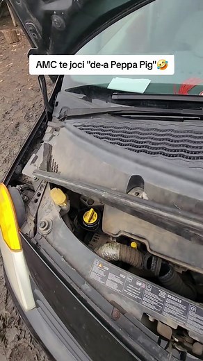 Renault Modus: A Fun Look at This Versatile Car