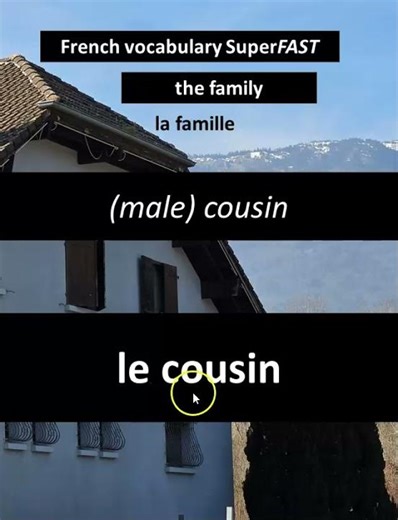 Cousin (male) / le... #french #frenchvocabulary #frenchforbeginners #frenchpronunciation
