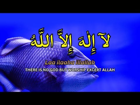Live LAILAHAILLALLAH Recitation for Ultimate Stress Relief