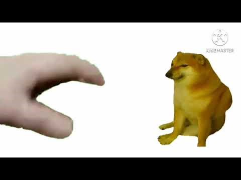 Hand Pet Meme Funny