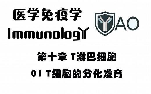 医学免疫学 第十章_01 T细胞的分化发育