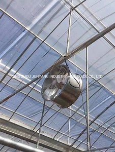 [Hot Item] Electric Stand Fan/Air Circulation Fan/DC Circulation Fan Fan